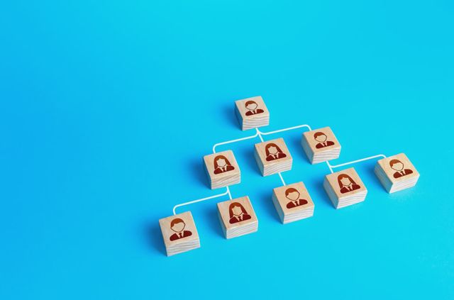 struktur organisasi adalah